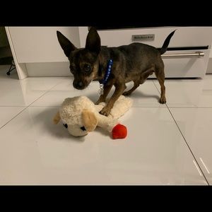 Meet your Posher, Sari